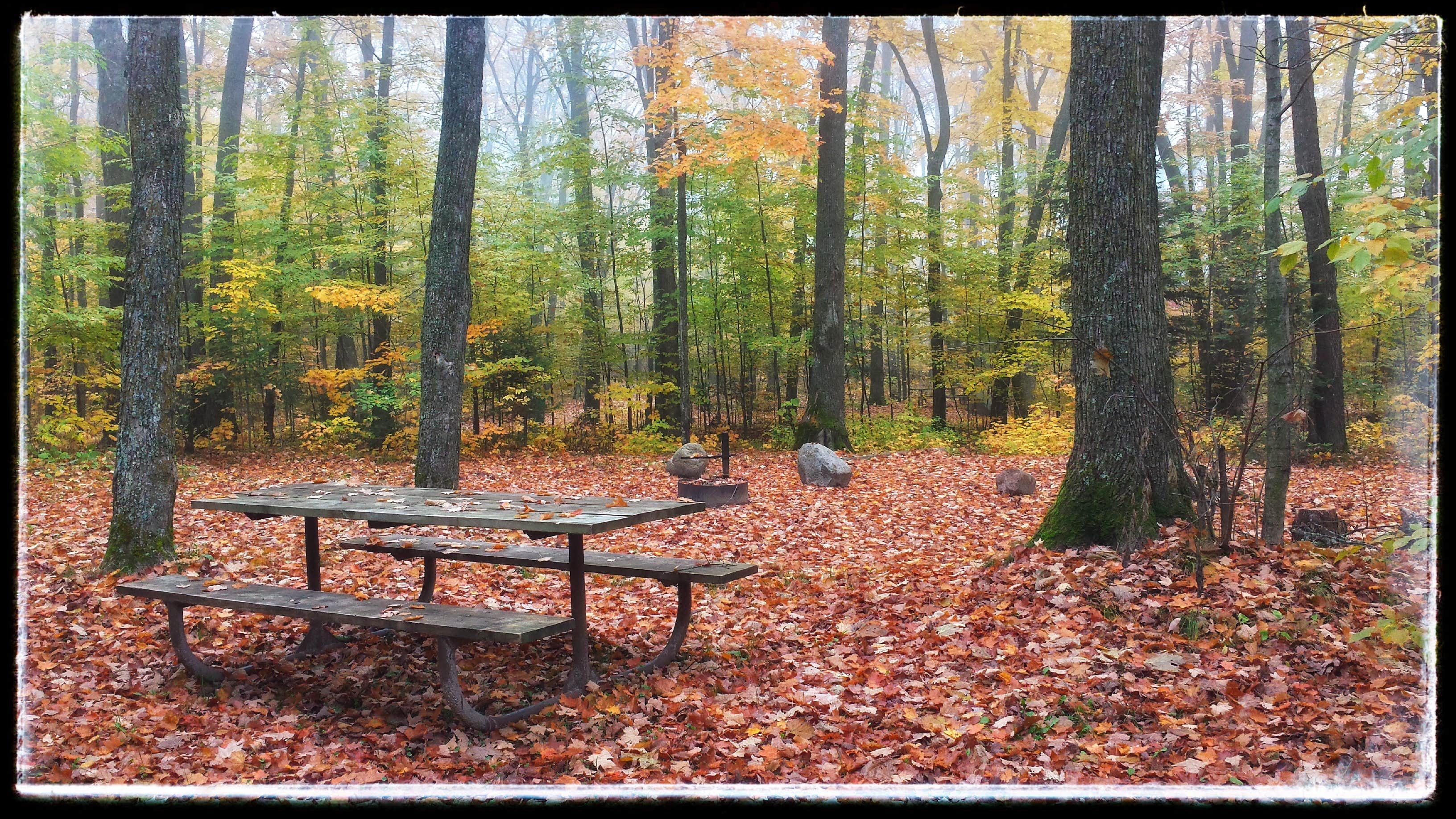 Camper submitted image from Hay Lake Campground and Day-Use Area - 3