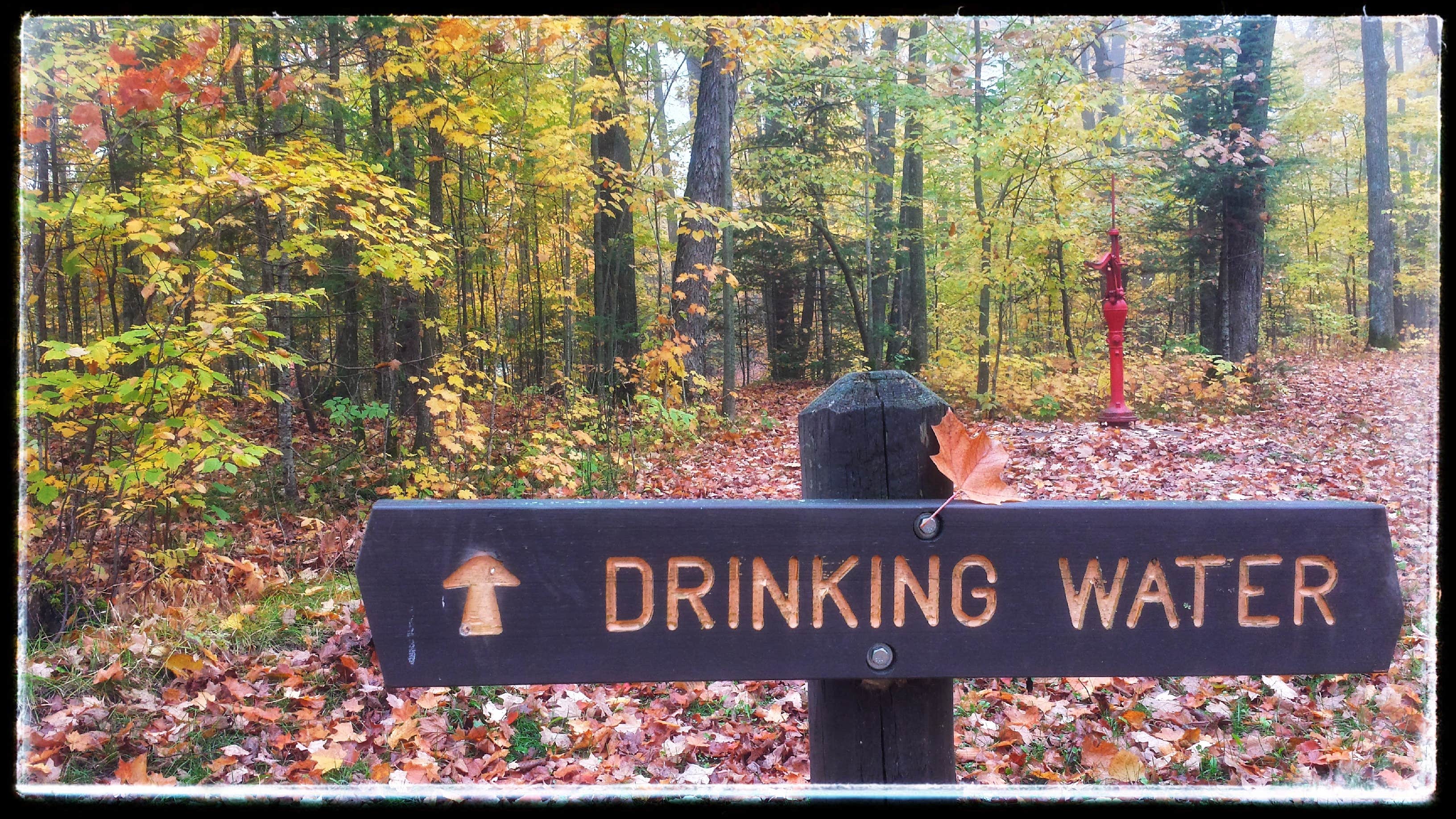 Camper-submitted photo at Hay Lake Campground and Day-Use Area near Turner, MN