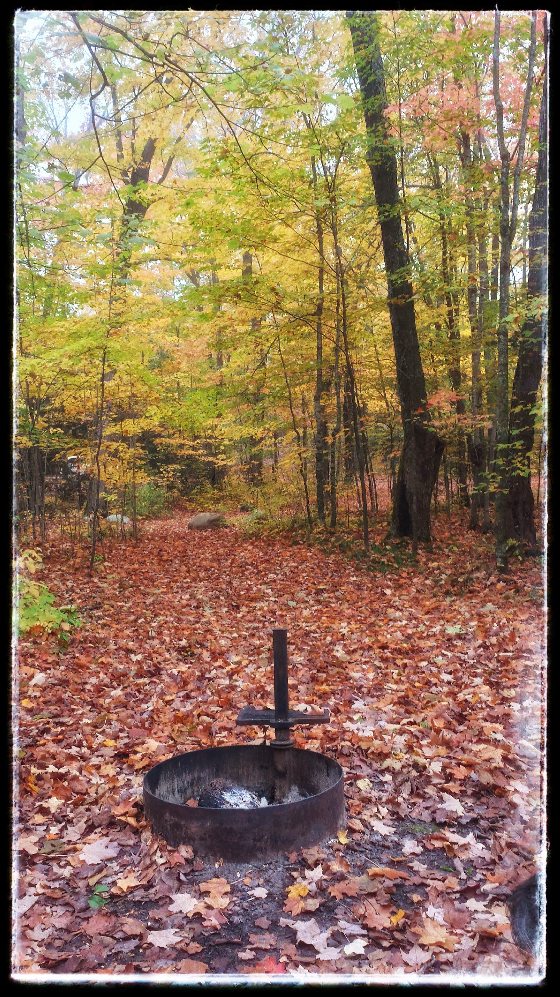 Hay Lake Campground and Day-Use Area | Balsam, MN