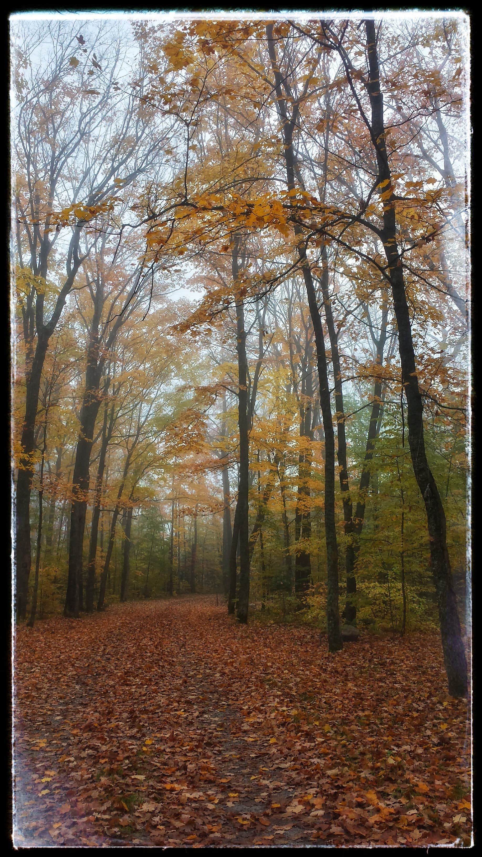 Camper-submitted photo at Hay Lake Campground and Day-Use Area near Turner, MN