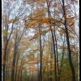 Review photo of Hay Lake Campground and Day-Use Area by Amy G., November 15, 2017
