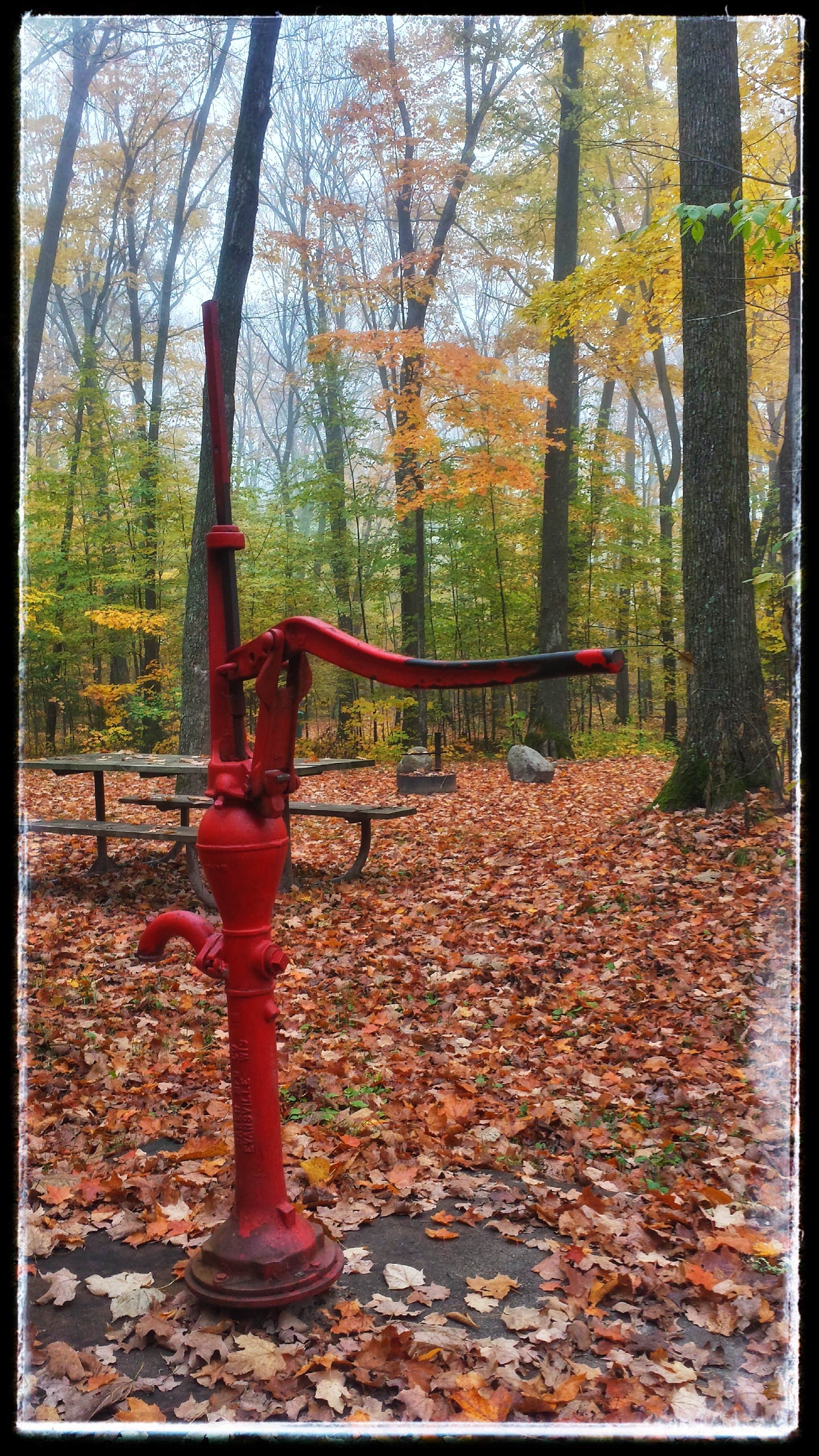 Camper-submitted photo at Hay Lake Campground and Day-Use Area near Turner, MN