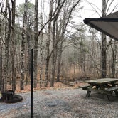 Review photo of Stony Fork Campground by Kristen C., November 15, 2017