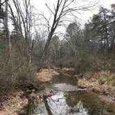 Review photo of Stony Fork Campground by Kristen C., November 15, 2017