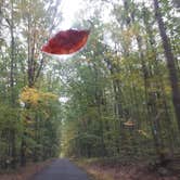 Review photo of French Creek State Park Campground by Katie M., November 16, 2017