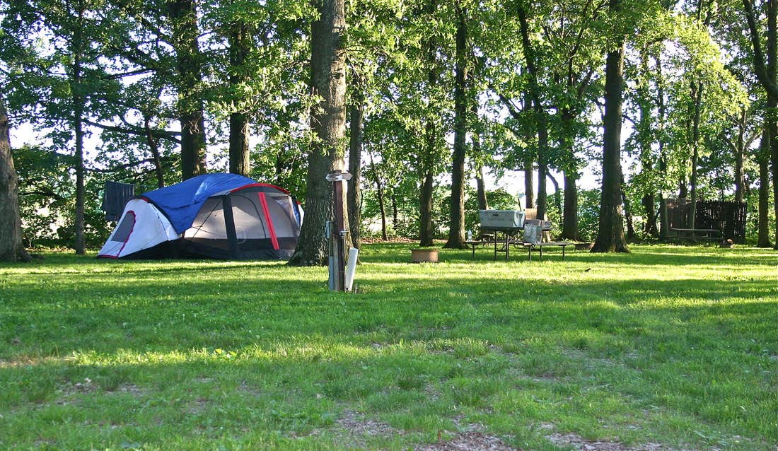 Camper submitted image from Tree Haven Campground - 5
