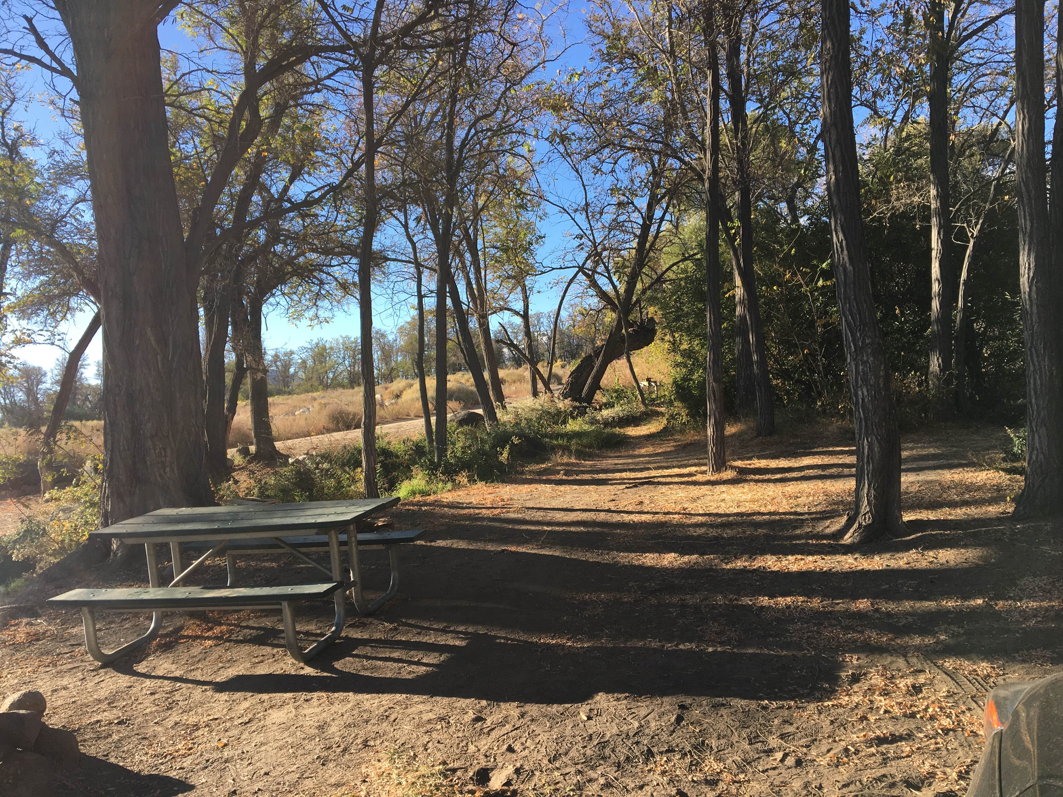 Camper-submitted photo at Baker Creek Campground near Big Pine, CA