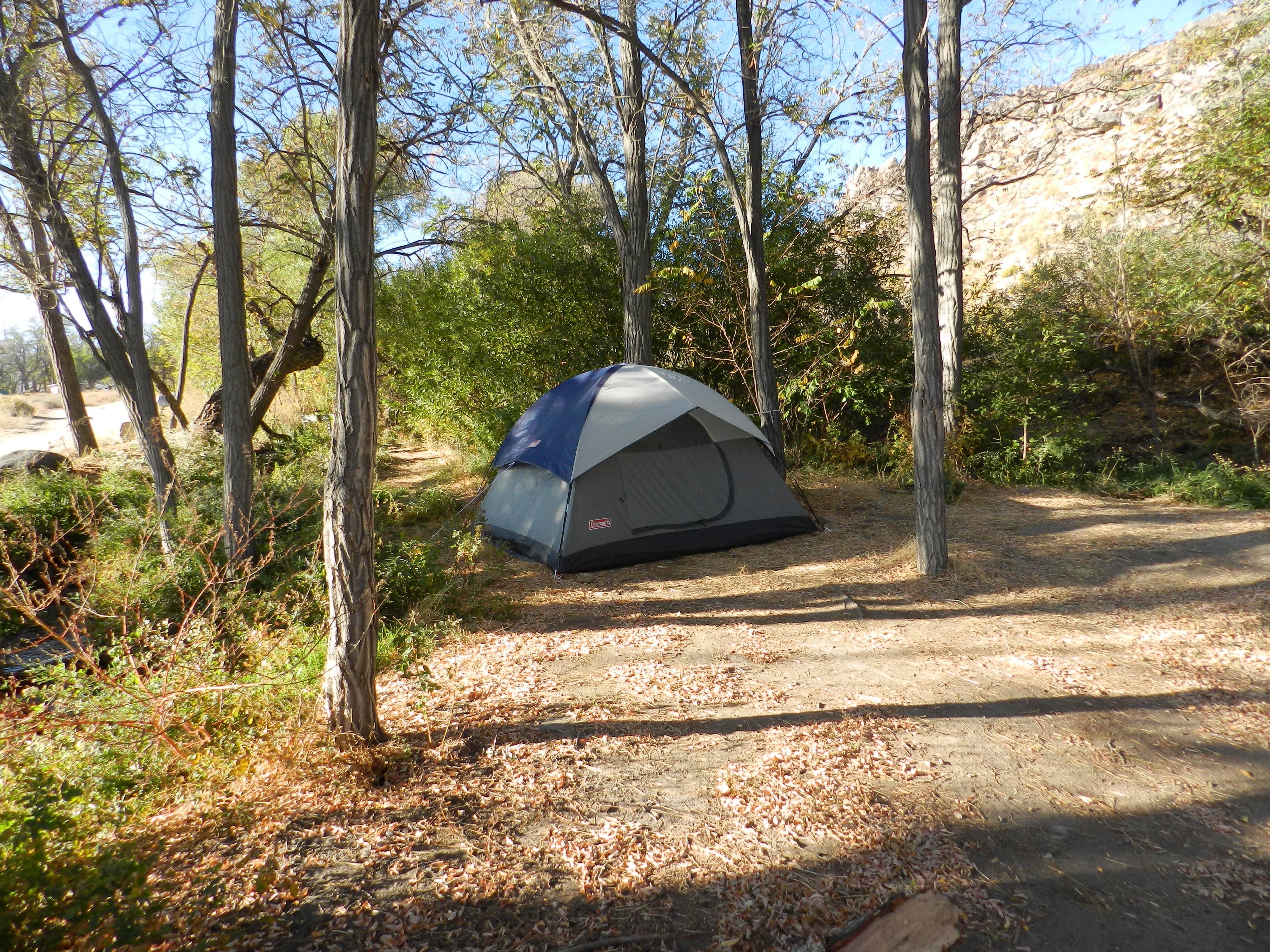 Brittany N.'s photo at Baker Creek Campground near Dyer, NV