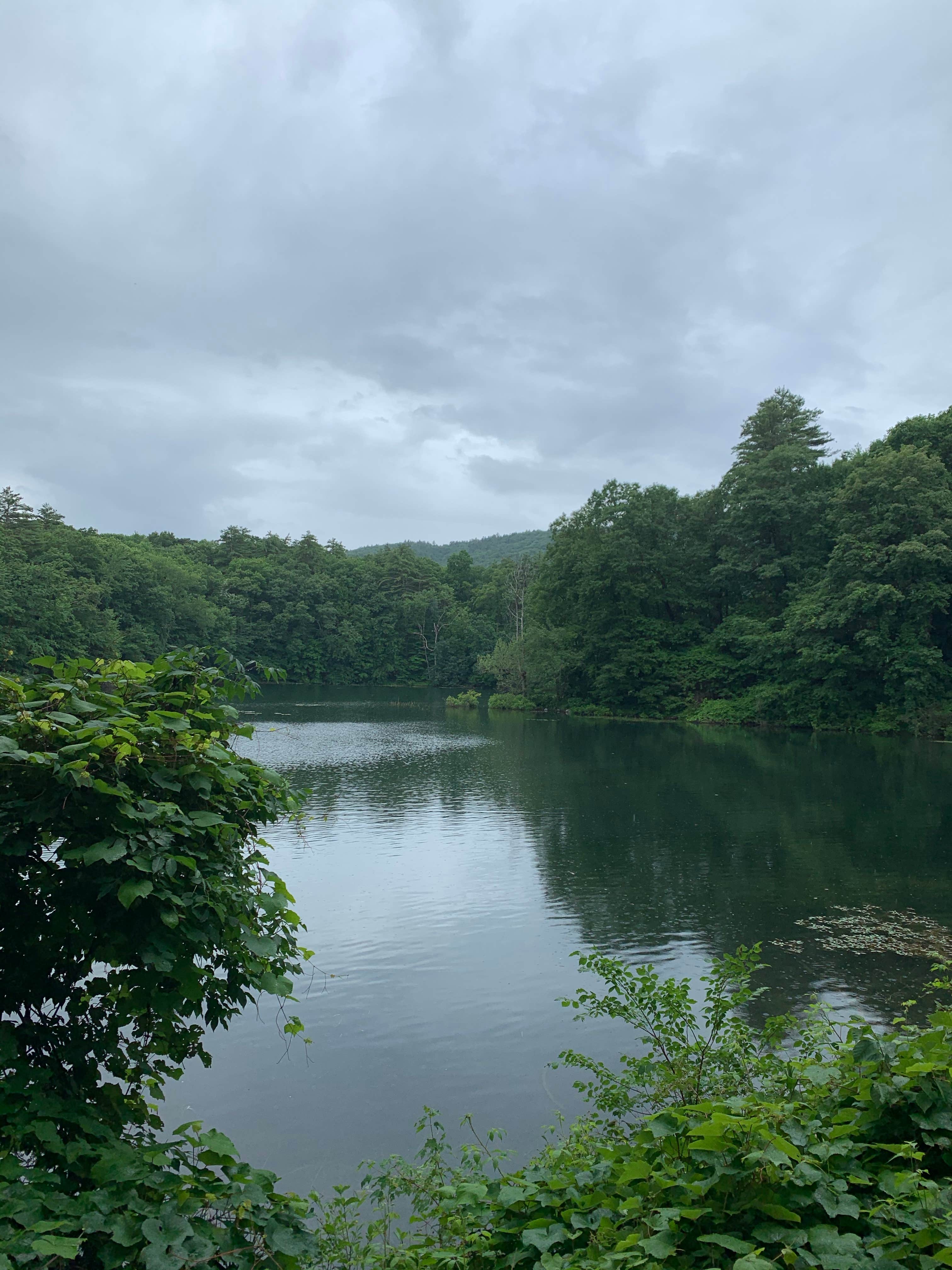 View All