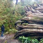 Review photo of Staircase Campground — Olympic National Park by Yuki A., July 2, 2020