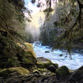 Review photo of Staircase Campground — Olympic National Park by Yuki A., July 2, 2020