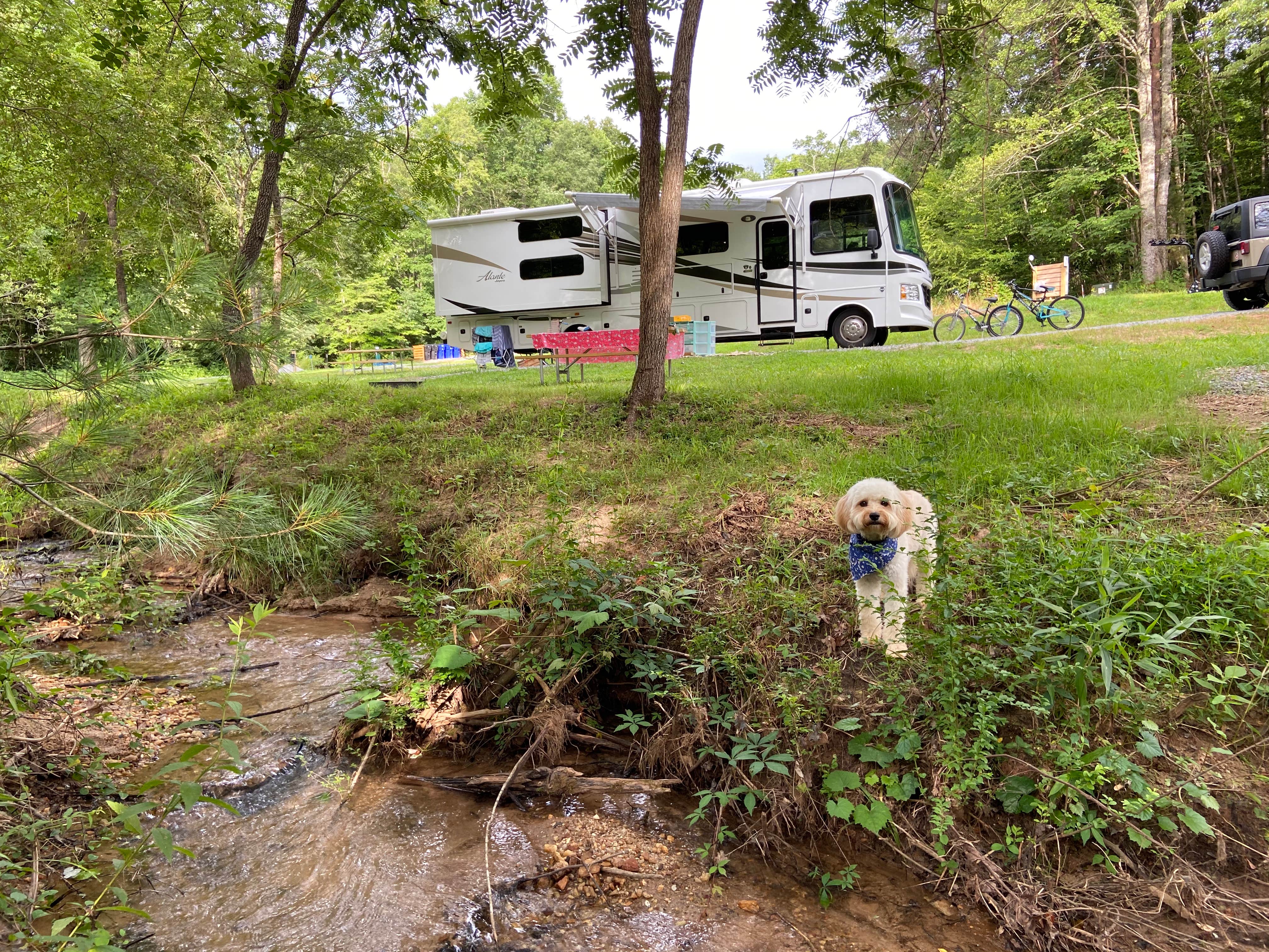 Zach H.'s photo of camping with pets at Emberglow Outdoor Resort near Boiling Springs, NC