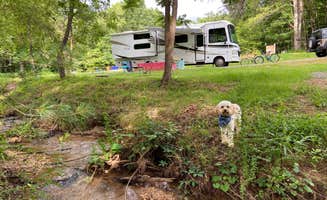 Zach H.'s photo of camping with pets at Emberglow Outdoor Resort near Landrum, SC