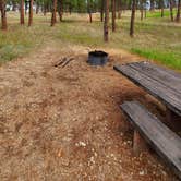 Review photo of Red Shale Campground & Geocache Site by Jesse R., July 2, 2020