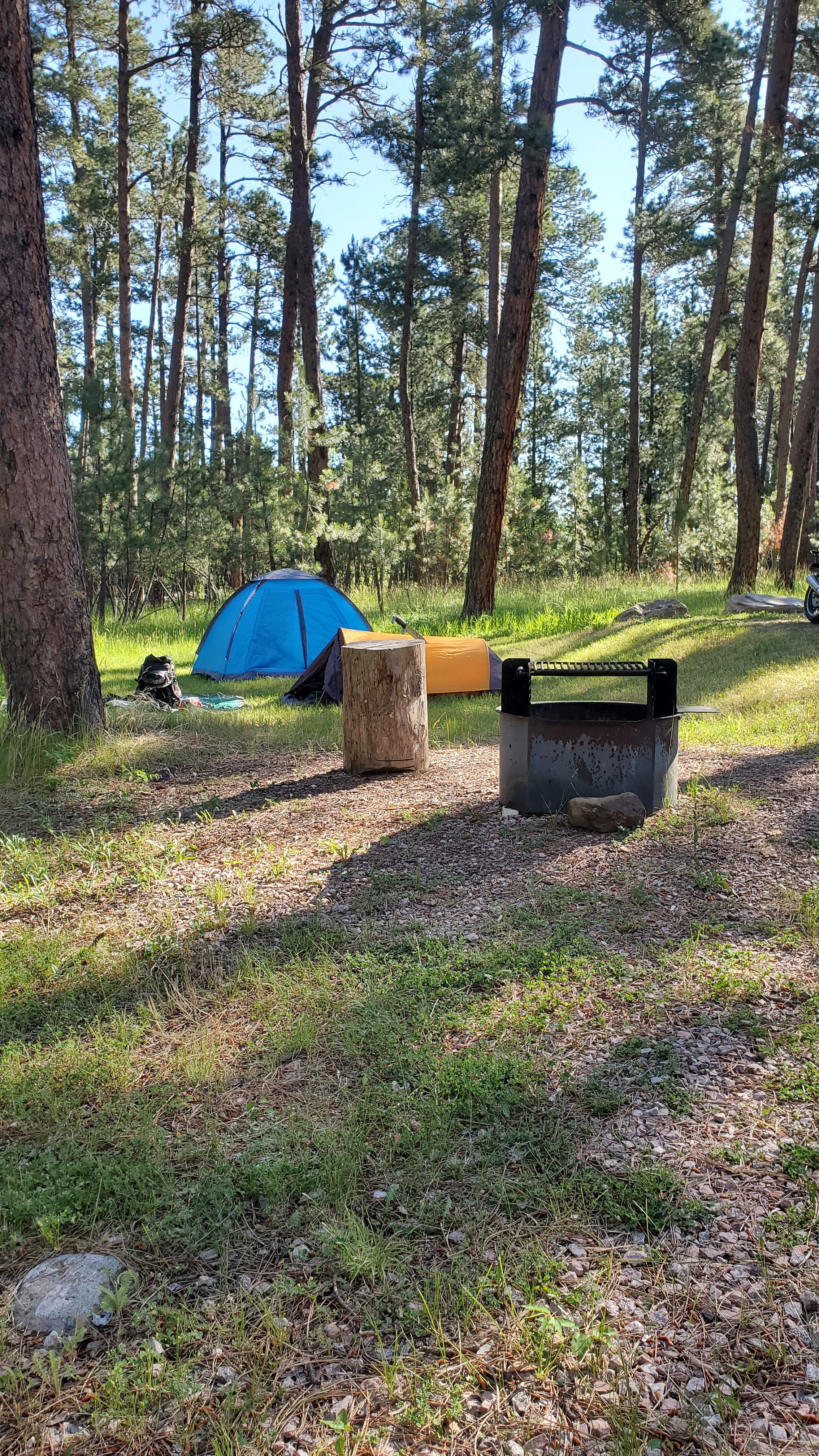 Camper submitted image from Bearlodge Campground - 3