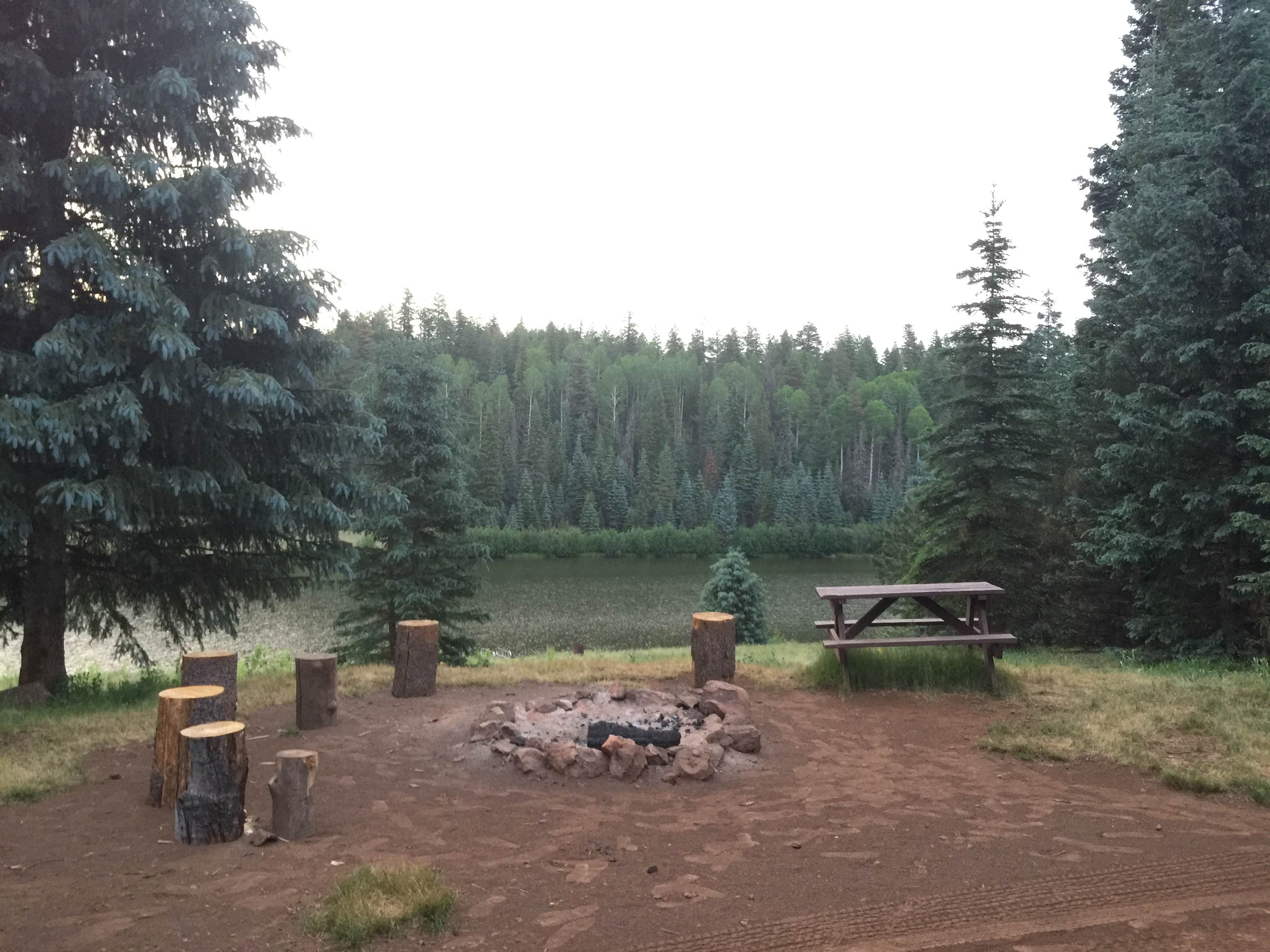 Hurricane Lake Campground  Greer, AZ