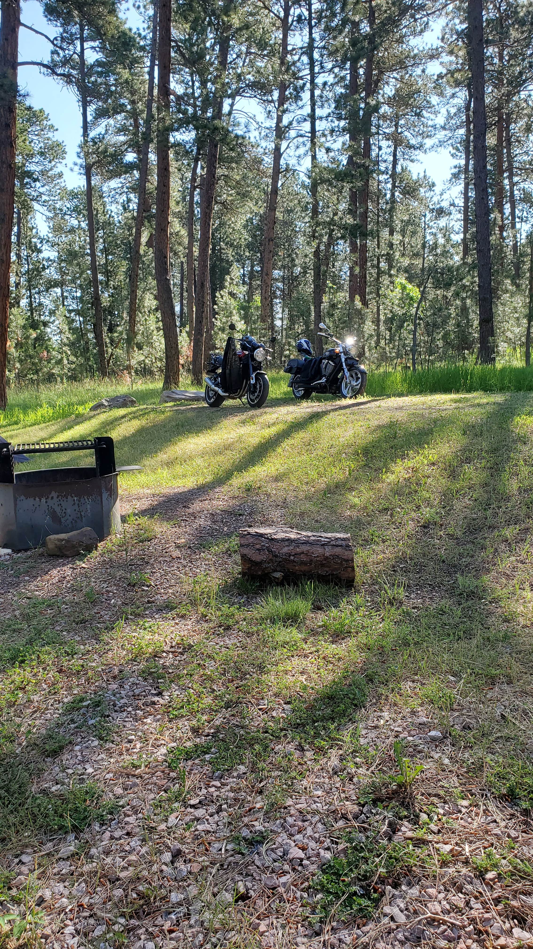 Camping near Reuter Campground: Bearlodge Campground, Beulah, Wyoming