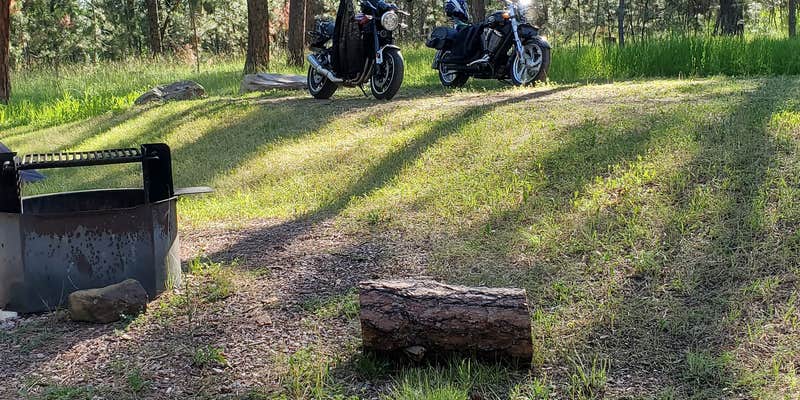 Camper submitted image from Bearlodge Campground