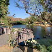 Review photo of Joshua Tree Lake RV & Campground by David H., July 2, 2020