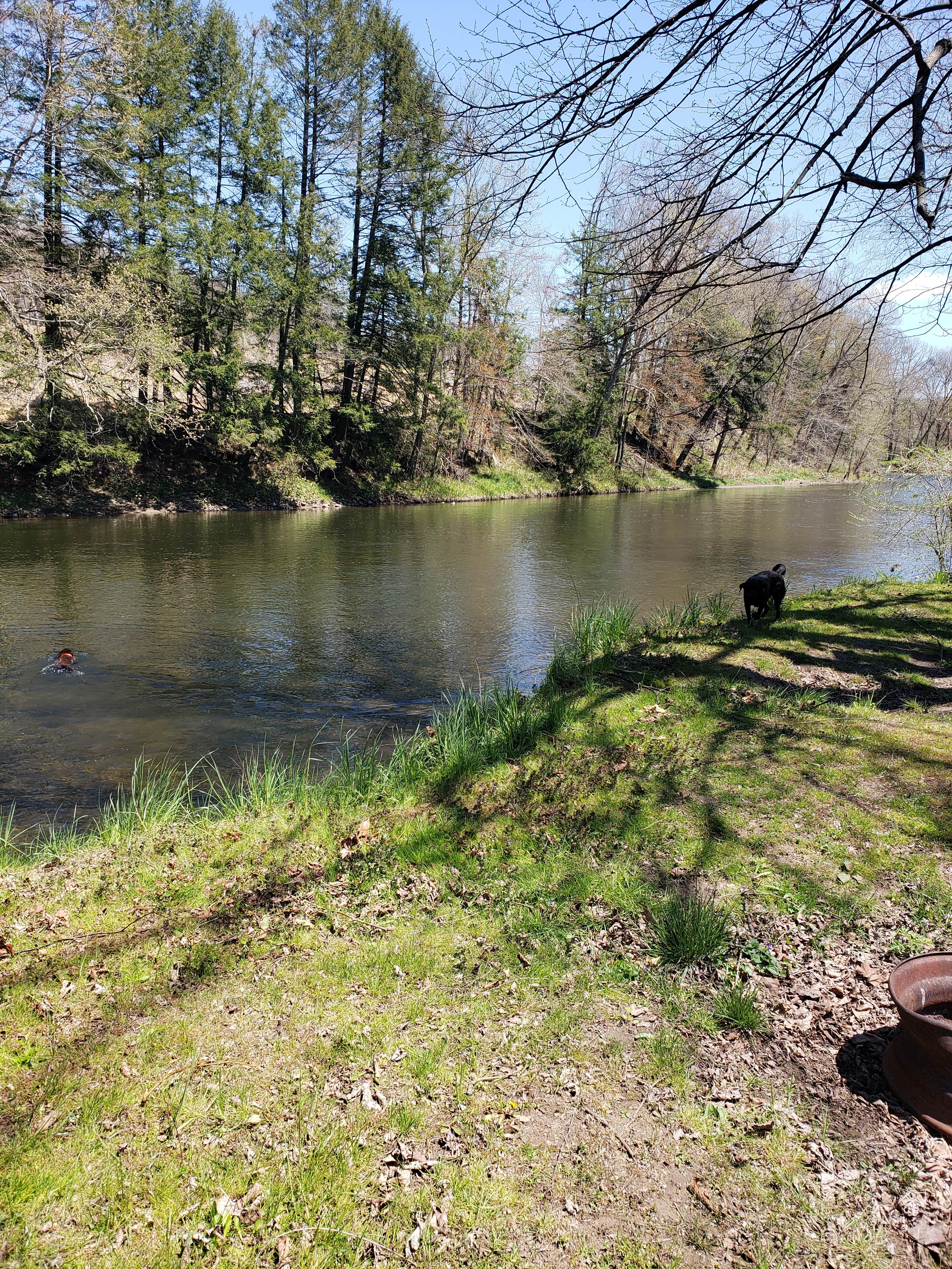 Camper submitted image from Cozy Creek Family Campground - 3