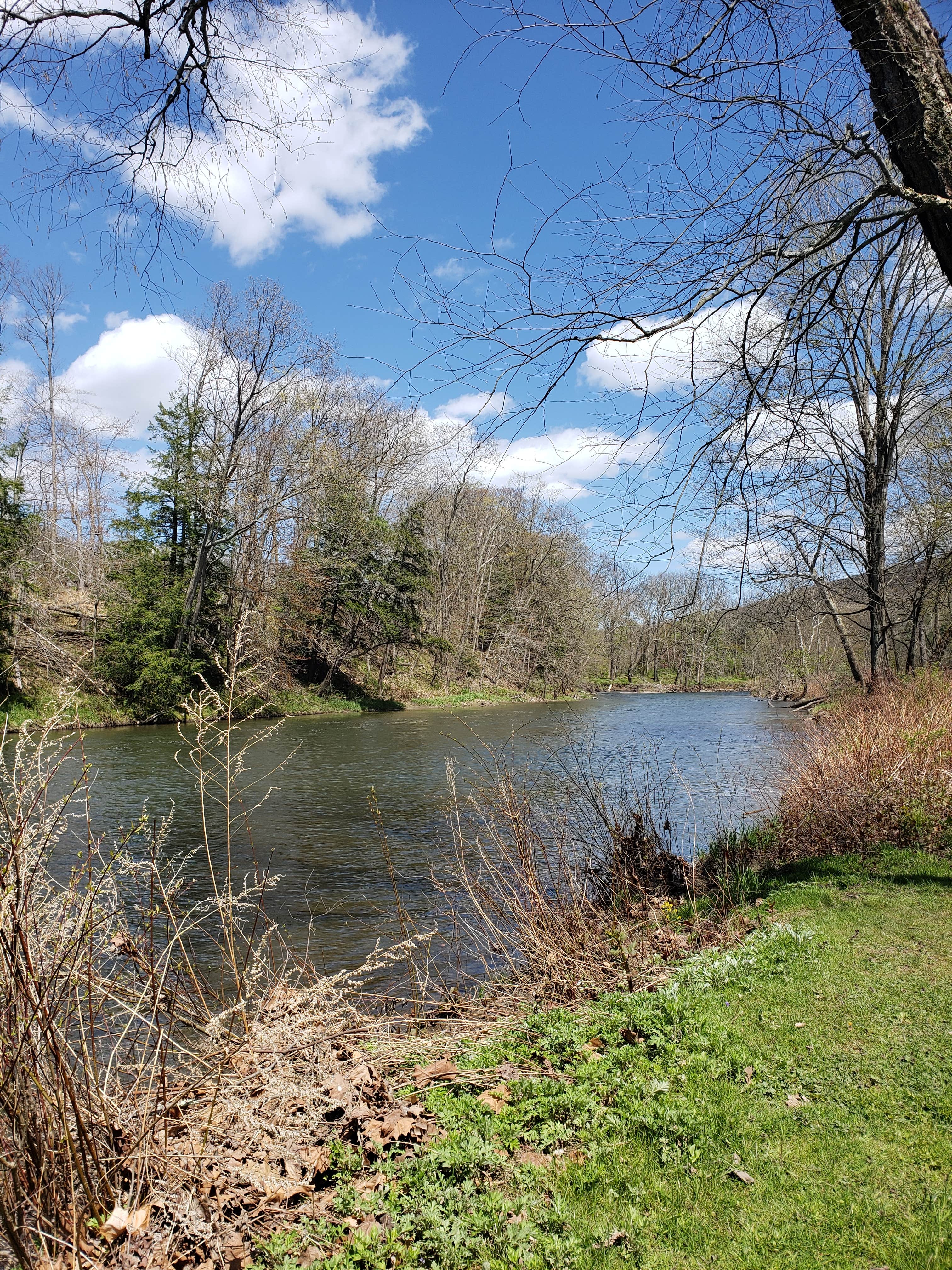 Camper-submitted photo at Cozy Creek Family Campground near Fleetville, PA