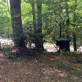 Review photo of Greenbrier Campground by Laure D., July 2, 2020