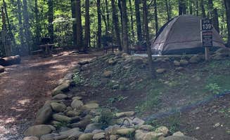 Laure D.'s photo at Greenbrier Campground near Gatlinburg, TN