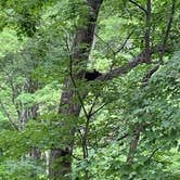 Review photo of Greenbrier Campground by Laure D., July 2, 2020