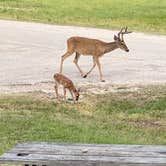 Review photo of Thousand Trails Medina Lake by Keisha D., July 3, 2020