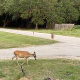 Review photo of Thousand Trails Medina Lake by Keisha D., July 3, 2020