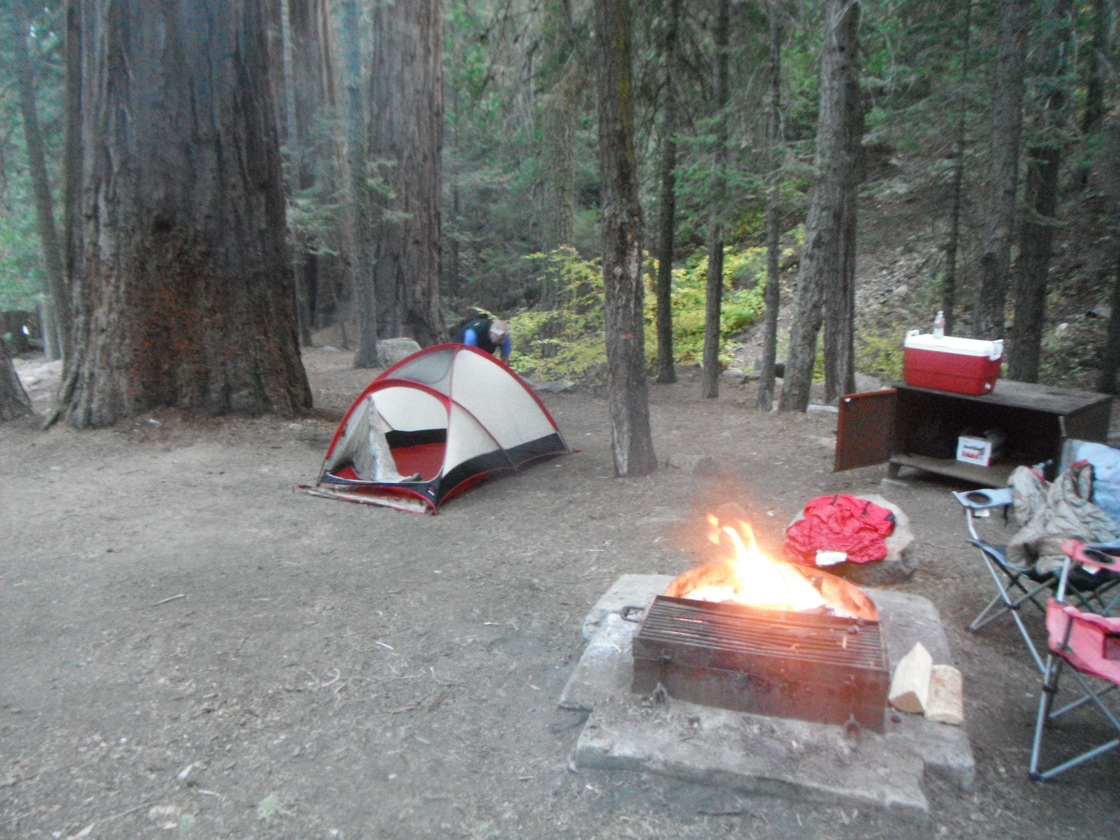 Camper submitted image from Brush Creek Recreation Site - 5
