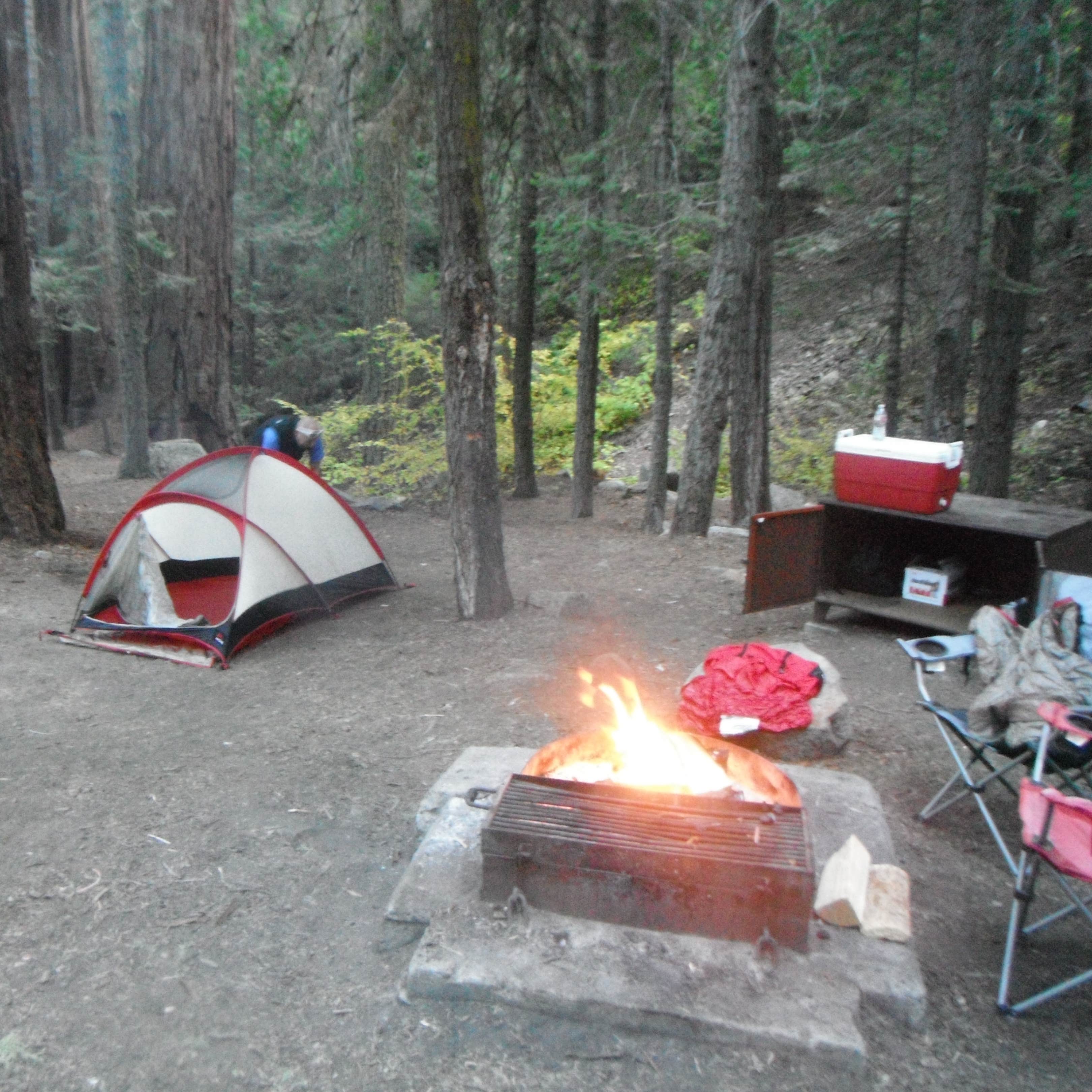 Brush Creek Recreation Site Camping | The Dyrt