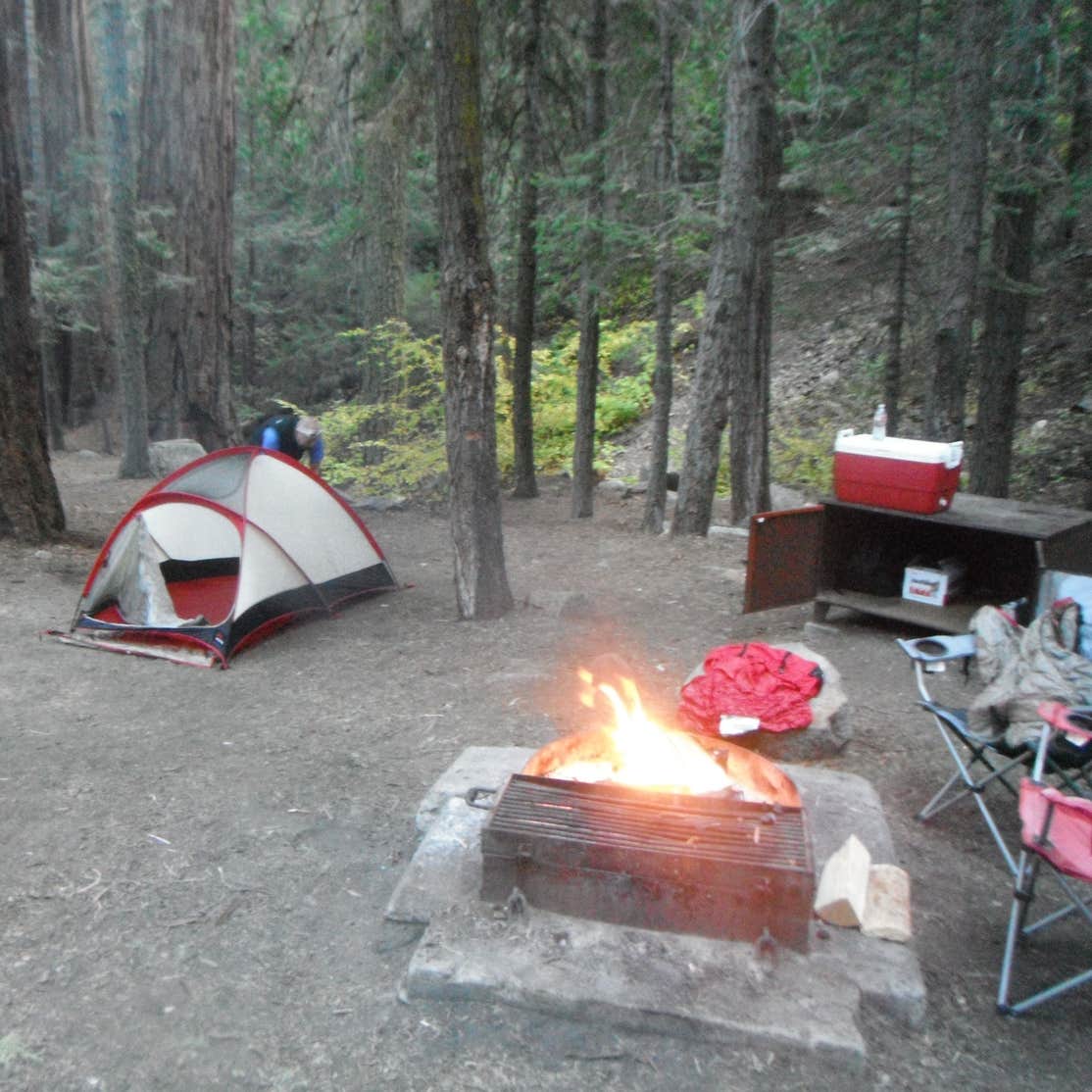 Brush Creek Recreation Site Camping | The Dyrt