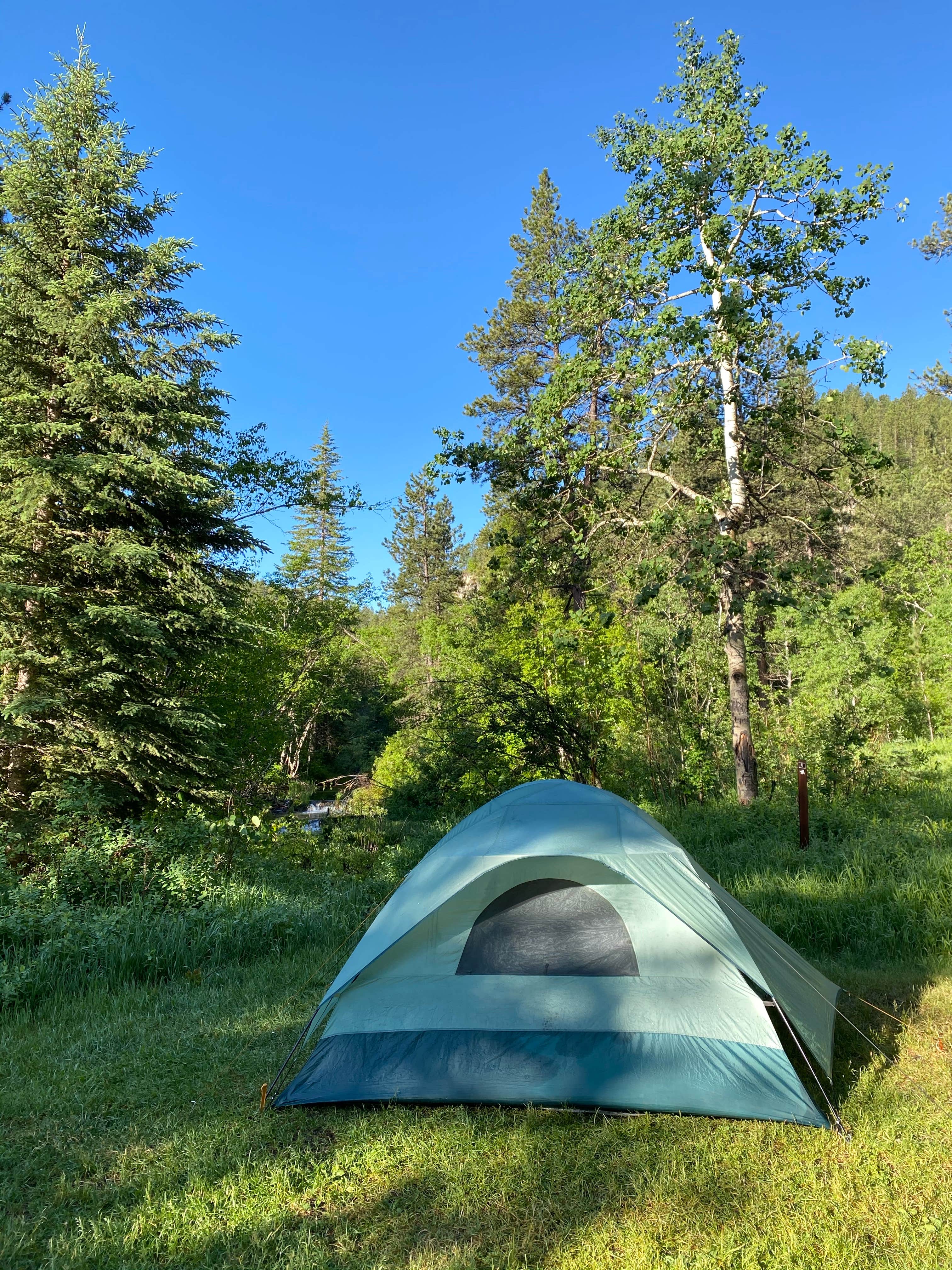 Camper submitted image from Rod & Gun Campground - 4