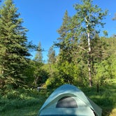 Review photo of Rod & Gun Campground by Rachel O., July 3, 2020