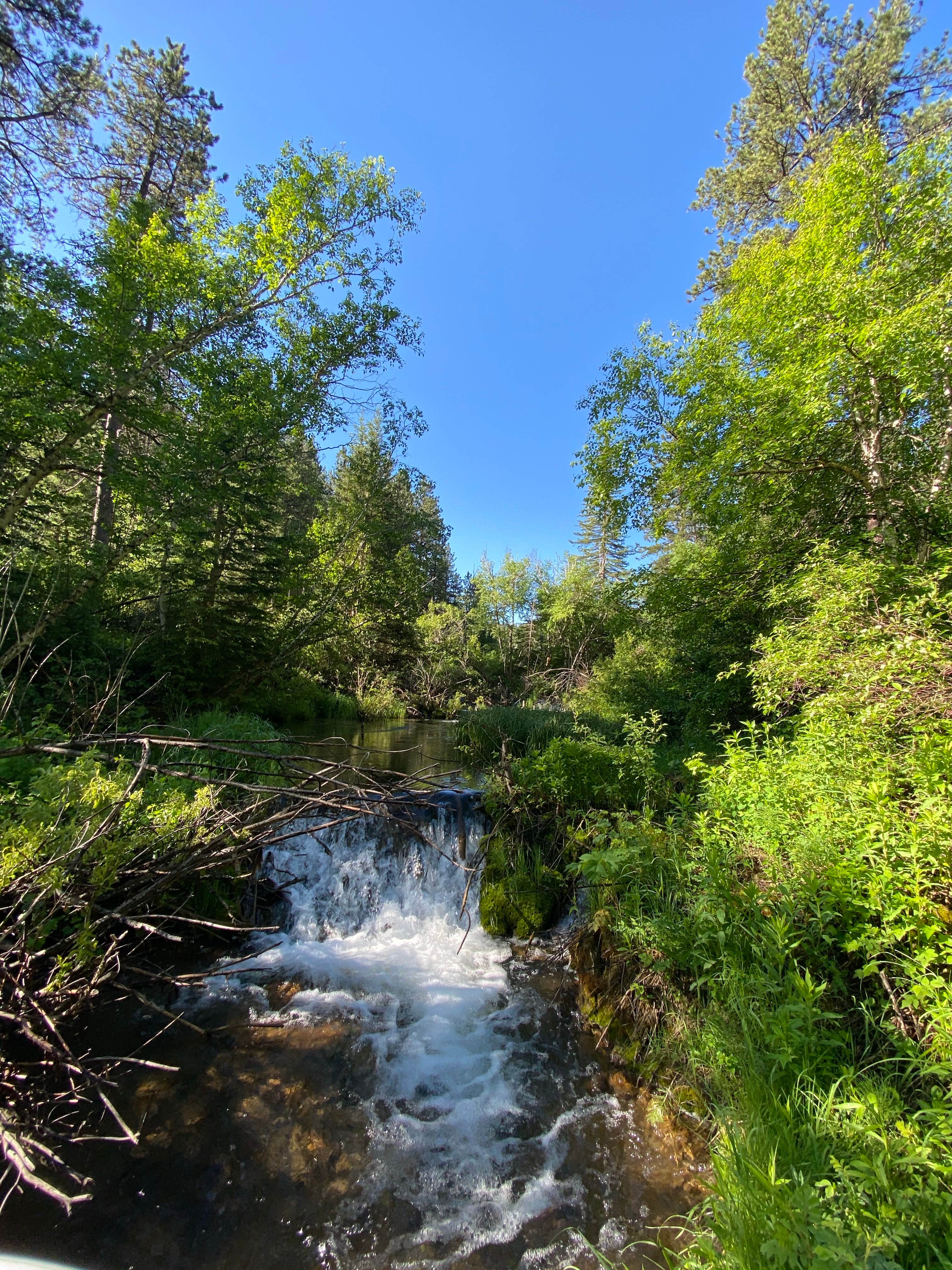 Camper submitted image from Rod & Gun Campground - 4