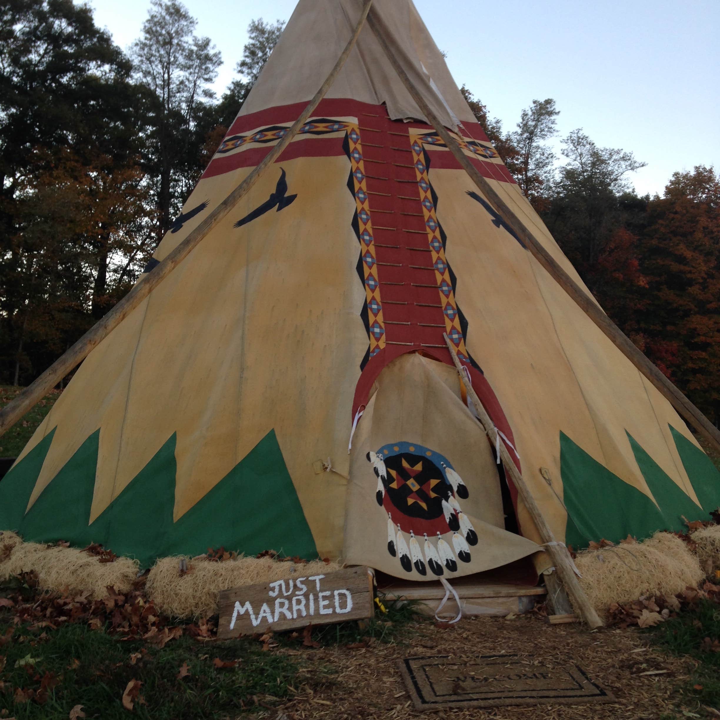 Chip R.'s photo of tent camping at Blue Bear Mountain Camp near Bristol, TN