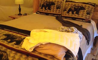 Chip R.'s photo of glamping accommodations at Blue Bear Mountain Camp near Abingdon, VA
