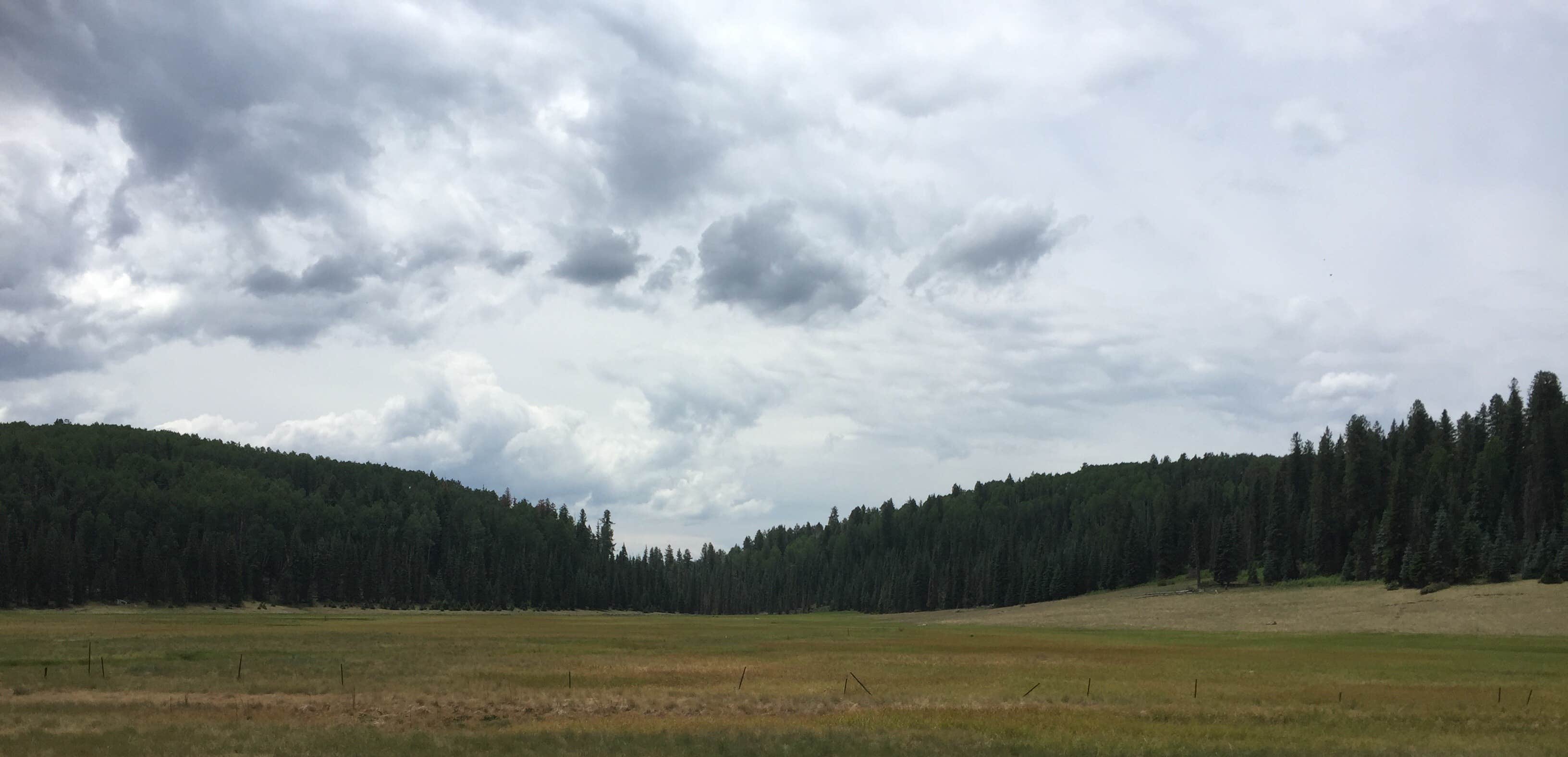 Hurricane Lake Campground  Greer, AZ