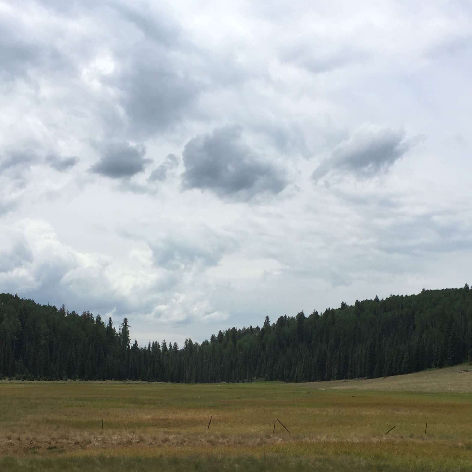 Hurricane Lake Campground Camping  The Dyrt