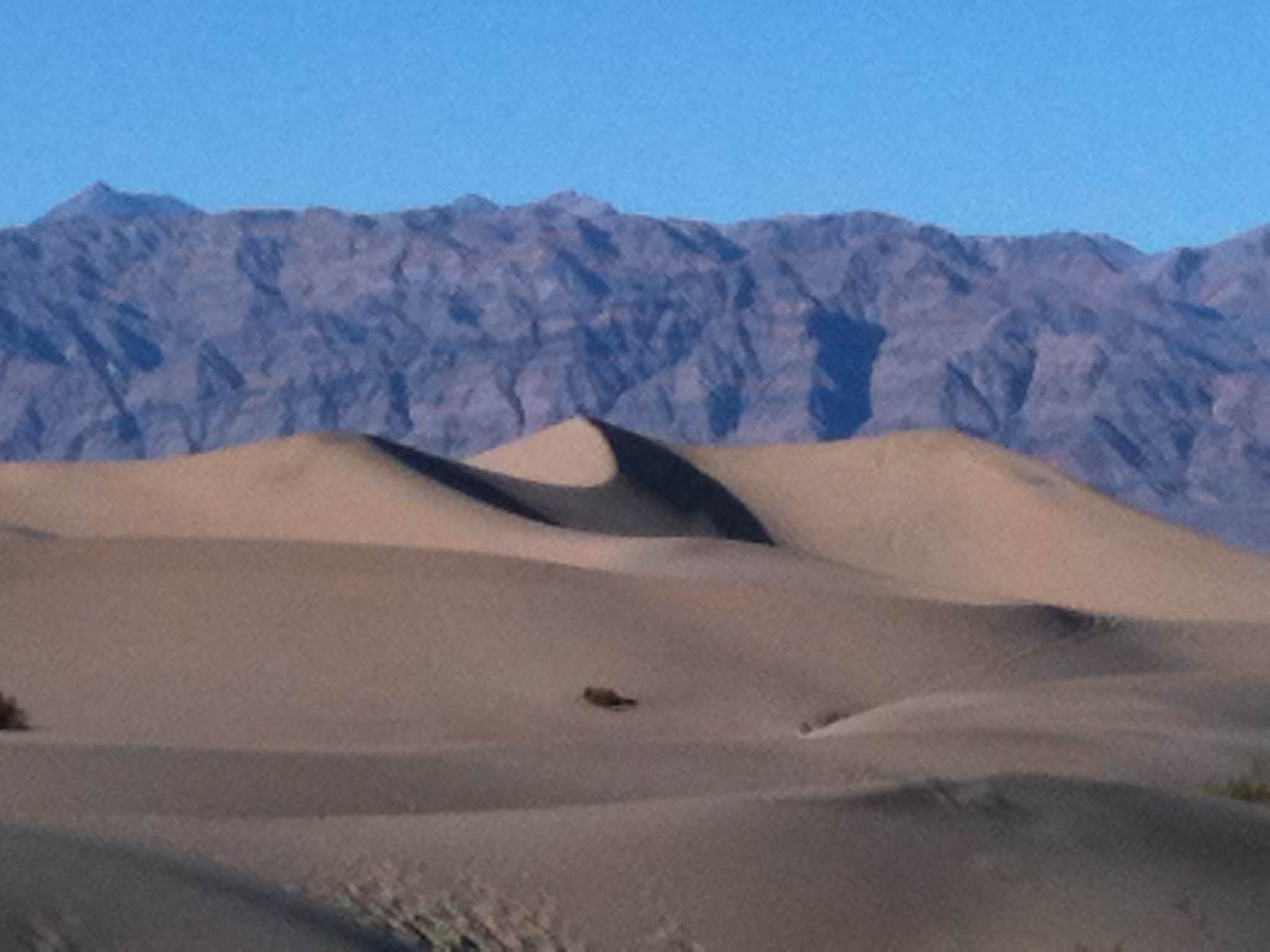 Camper submitted image from Stovepipe Wells Campground — Death Valley National Park - 4