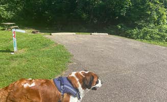 Ed A.'s photo of camping with pets at Forked Run State Park Campground near Athens, OH