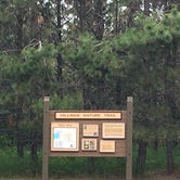 Review photo of Icelandic State Park Campground by Janet R., July 3, 2020