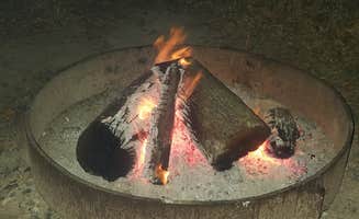 Ray O.'s photo at Live Oak — Lake Mineral Wells State Park near Aledo, TX