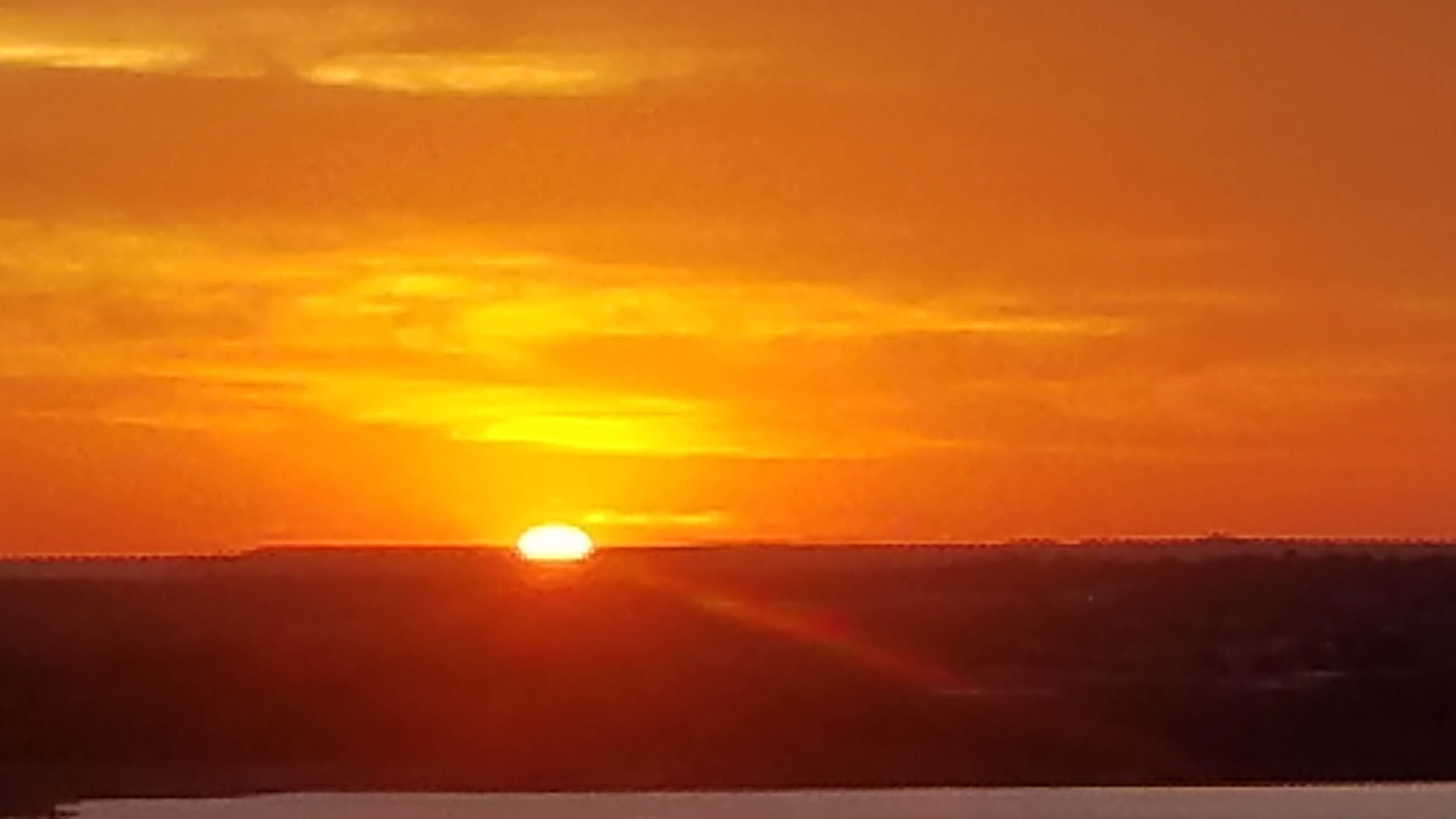 Camper submitted image from Live Oak — Lake Mineral Wells State Park - 2