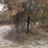 Review photo of Lake Mineral Wells State Park Campground by Ray O., November 18, 2017