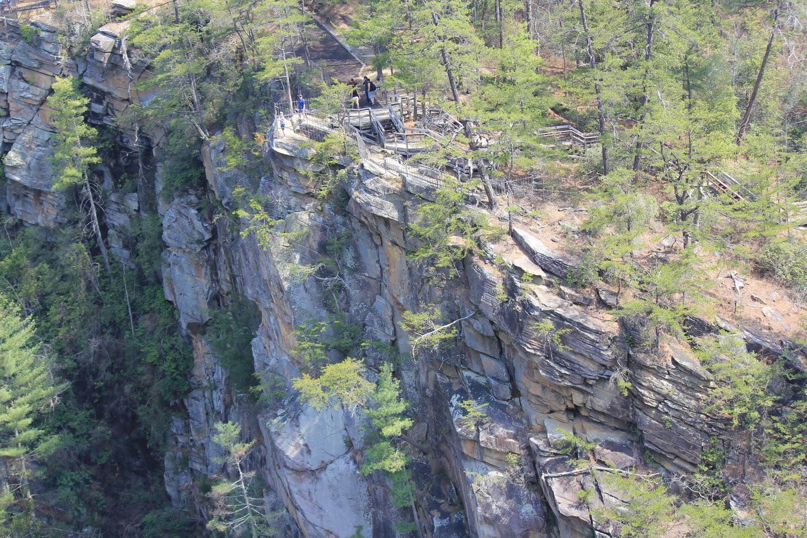 Camper submitted image from Tallulah Gorge State Park Campground - 2
