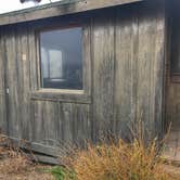 Review photo of Steep Ravine Campground — Mount Tamalpais State Park by Kelly S., November 20, 2017