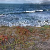 Review photo of Steep Ravine Campground — Mount Tamalpais State Park by Kelly S., November 20, 2017