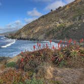 Review photo of Steep Ravine Campground — Mount Tamalpais State Park by Kelly S., November 20, 2017